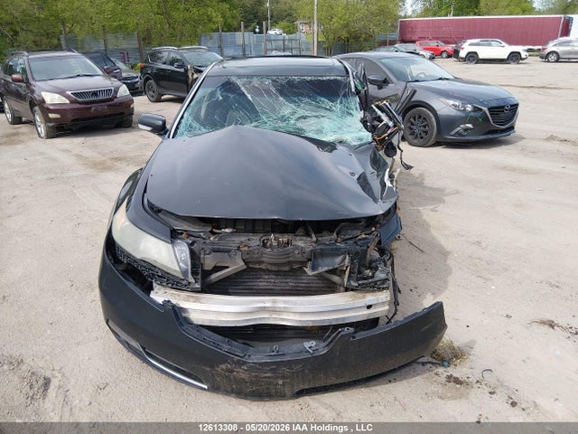 12613308 :رقم المزاد ، 19UUA8F52CA800878 vin ، 2012 Acura Tl مزاد بيع