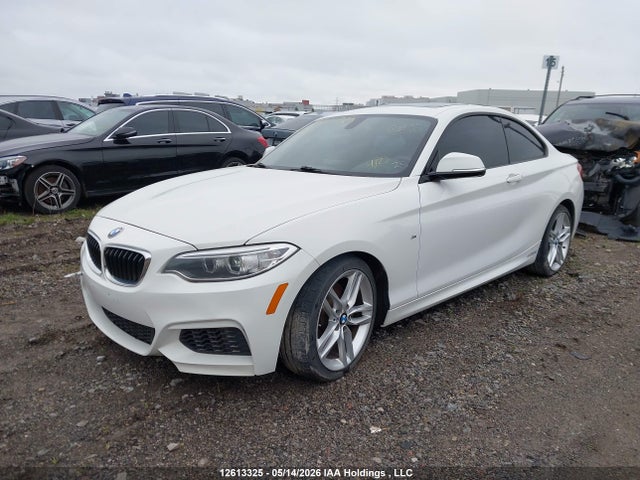 Auction sale of the 2014 Bmw 2 Series, vin: WBA1F5C56EVW97818, lot number: 12613325