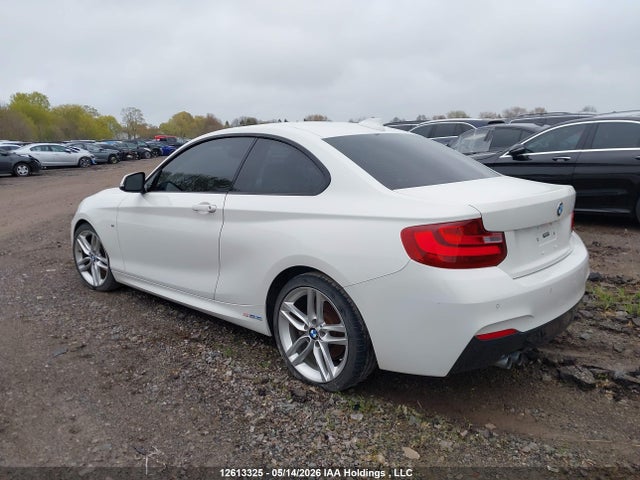 Auction sale of the 2014 Bmw 2 Series, vin: WBA1F5C56EVW97818, lot number: 12613325