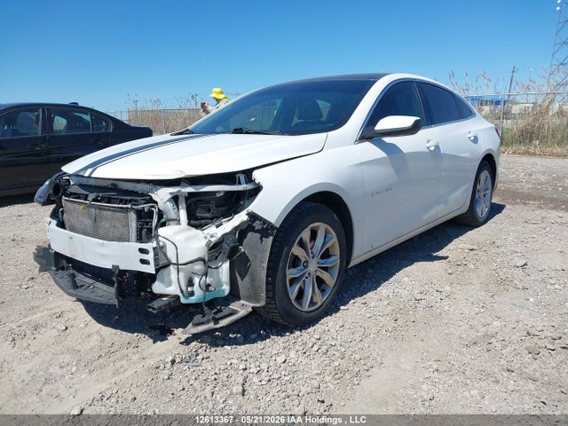 Продаж на аукціоні авто 2019 Chevrolet Malibu Lt, vin: 1G1ZD5ST5KF207167, номер лоту: 12613367