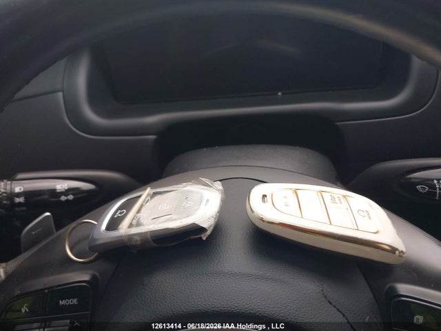 Aukcja sprzedaży 2024 Hyundai Tucson Luxury Awd, vin: KM8JCCD11RU196175, numer aukcji: 12613414