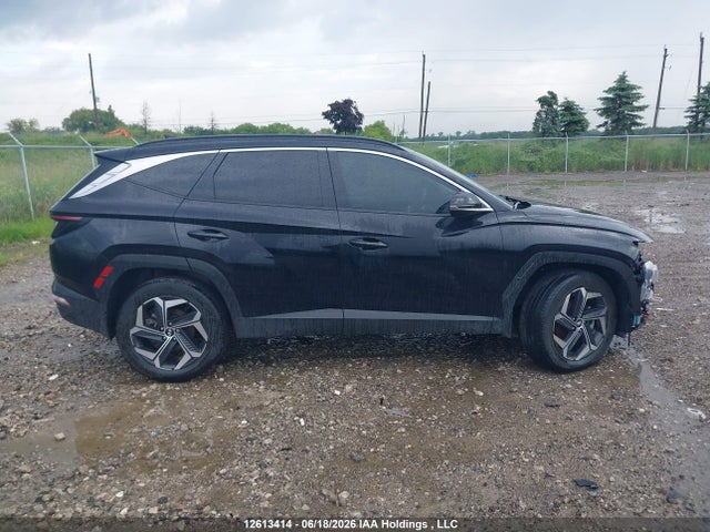 Aukcja sprzedaży 2024 Hyundai Tucson Luxury Awd, vin: KM8JCCD11RU196175, numer aukcji: 12613414