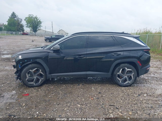 Aukcja sprzedaży 2024 Hyundai Tucson Luxury Awd, vin: KM8JCCD11RU196175, numer aukcji: 12613414