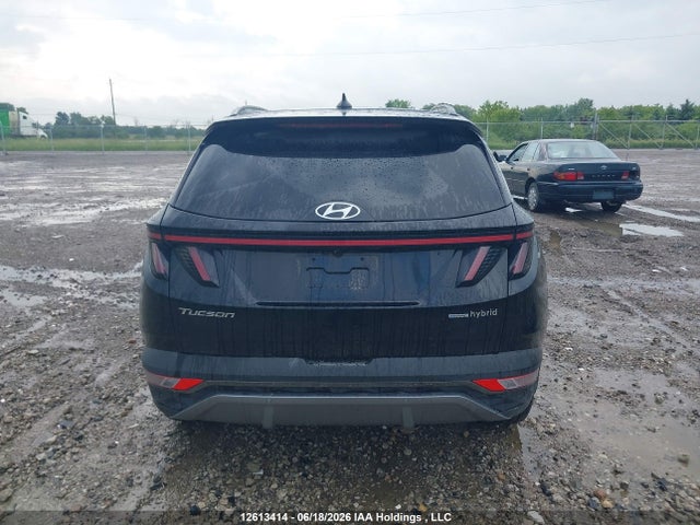 Aukcja sprzedaży 2024 Hyundai Tucson Luxury Awd, vin: KM8JCCD11RU196175, numer aukcji: 12613414