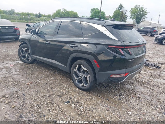 Aukcja sprzedaży 2024 Hyundai Tucson Luxury Awd, vin: KM8JCCD11RU196175, numer aukcji: 12613414