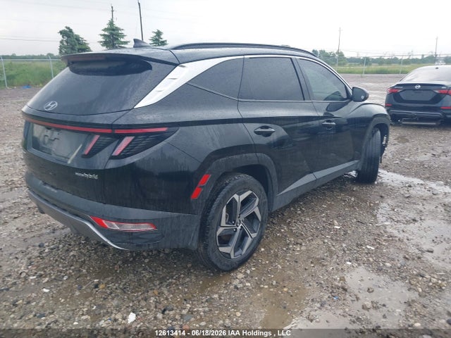 Aukcja sprzedaży 2024 Hyundai Tucson Luxury Awd, vin: KM8JCCD11RU196175, numer aukcji: 12613414