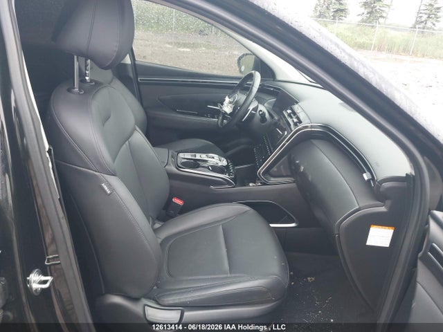 Aukcja sprzedaży 2024 Hyundai Tucson Luxury Awd, vin: KM8JCCD11RU196175, numer aukcji: 12613414