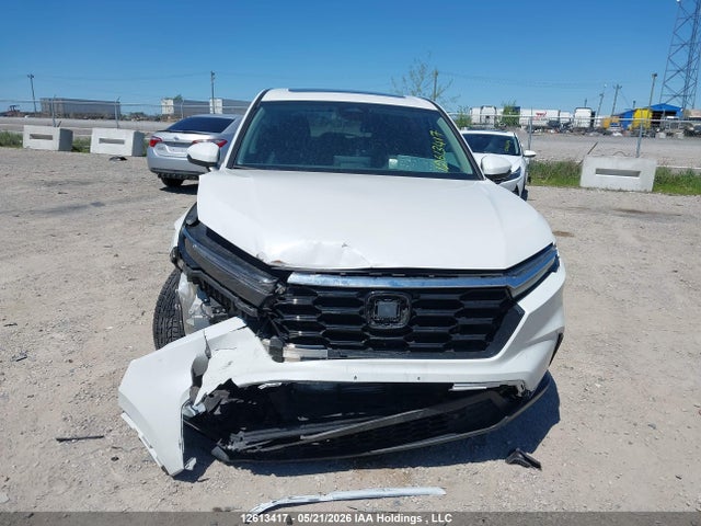 12613417 :رقم المزاد ، 2HKRS4H79RH109373 vin ، 2024 Honda Cr-v Exl مزاد بيع