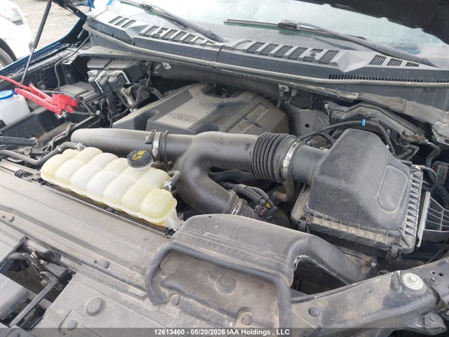 2020 Ford F-150 Xlt მანქანა იყიდება აუქციონზე, vin: 1FTFW1E41LFA43158, აუქციონის ნომერი: 12613460