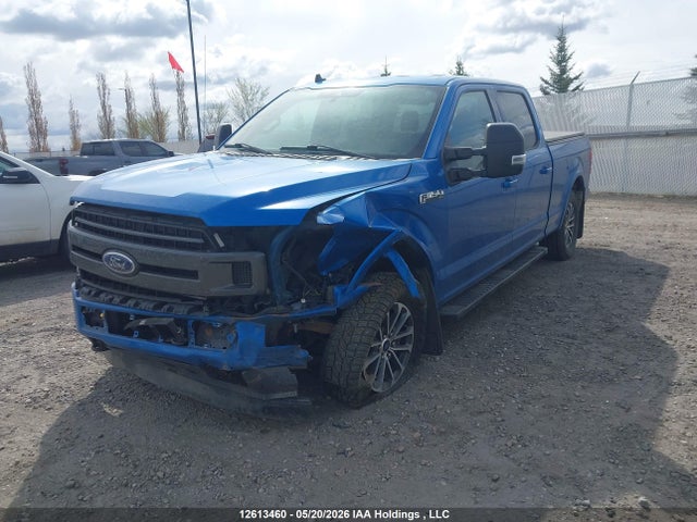 2020 Ford F-150 Xlt მანქანა იყიდება აუქციონზე, vin: 1FTFW1E41LFA43158, აუქციონის ნომერი: 12613460