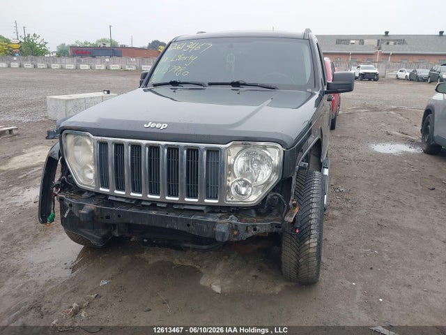 Продажа на аукционе авто 2010 Jeep Liberty Limited Edition, vin: 1J4PN5GK1AW137980, номер лота: 12613467