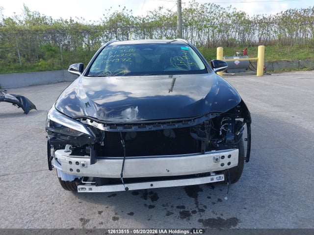 Lexus NX 250 2024 2T2ADCEZ2RC004972 Image 12