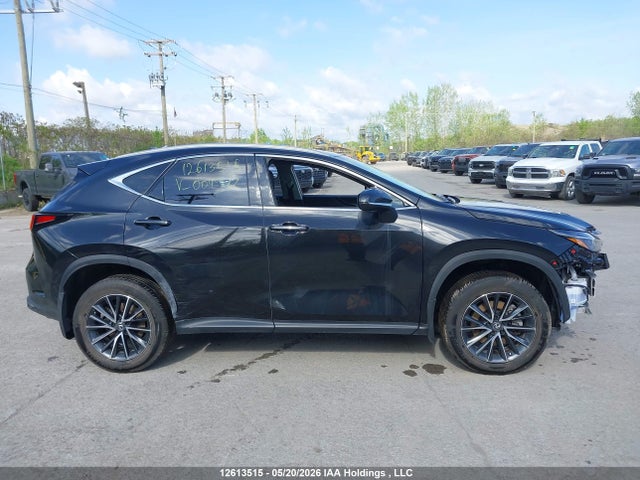Lexus NX 250 2024 2T2ADCEZ2RC004972 Image 13