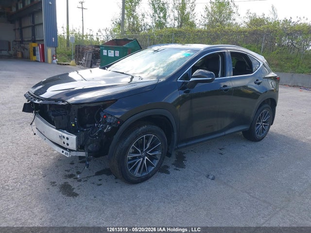 Lexus NX 250 2024 2T2ADCEZ2RC004972 Image 2
