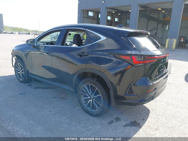 Lexus NX 250 2024 2T2ADCEZ2RC004972 Image 3