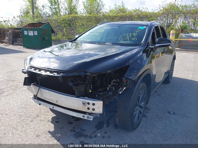 Lexus NX 250 2024 2T2ADCEZ2RC004972 Image 6