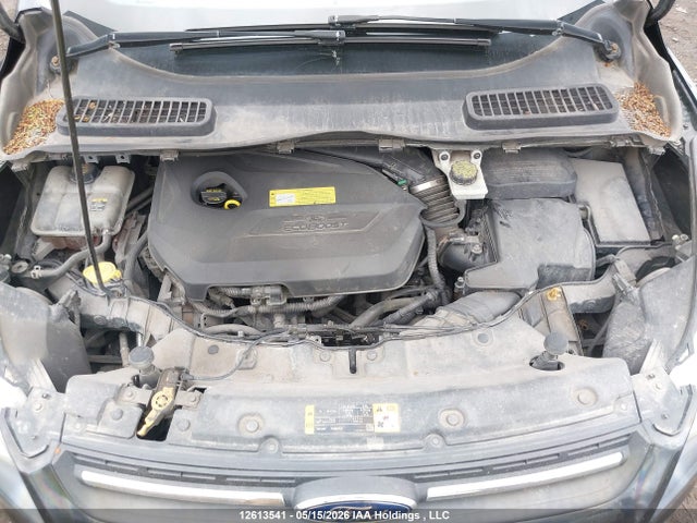 Продаж на аукціоні авто 2013 Ford Escape Se, vin: 1FMCU0GX9DUA88996, номер лоту: 12613541