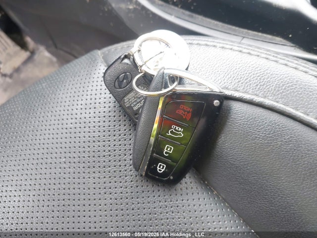 5XYZUDLB3HG493453 Hyundai Santa Fe