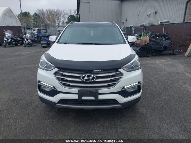 5XYZUDLB3HG493453 Hyundai Santa Fe