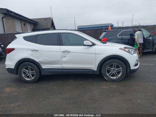 5XYZUDLB3HG493453 Hyundai Santa Fe