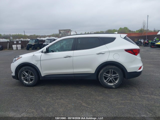 5XYZUDLB3HG493453 Hyundai Santa Fe