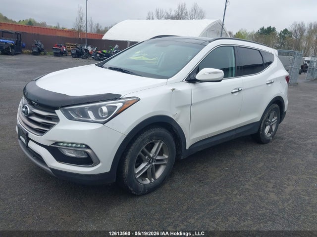 5XYZUDLB3HG493453 Hyundai Santa Fe