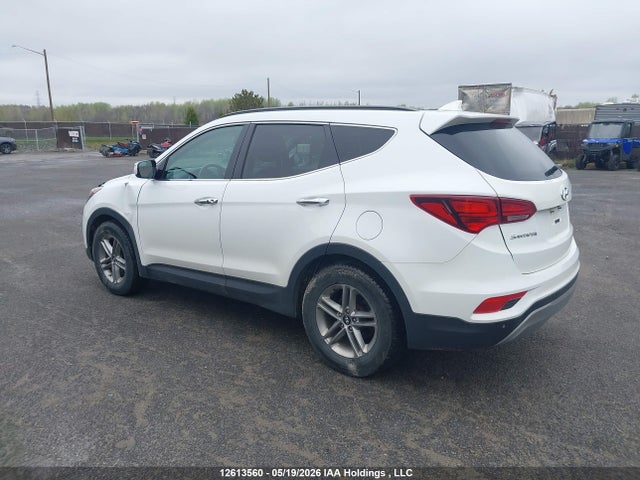 5XYZUDLB3HG493453 Hyundai Santa Fe