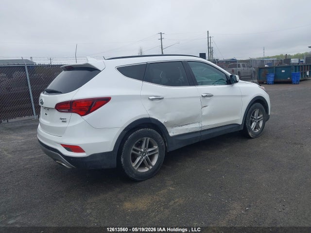 5XYZUDLB3HG493453 Hyundai Santa Fe