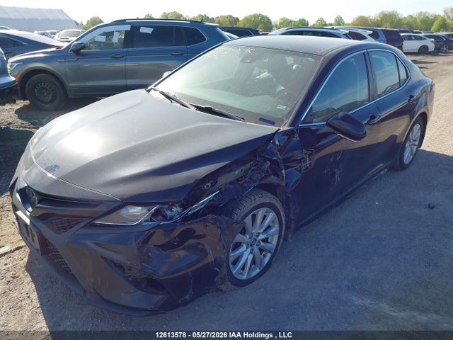 4T1B11HK4KU764264 Toyota Camry L/le/xle/se/xse