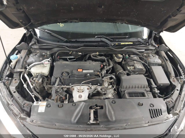 2HGFC2E56HH033465 Honda Civic Lx