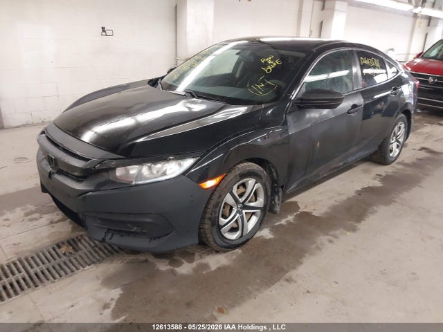 2HGFC2E56HH033465 Honda Civic Lx