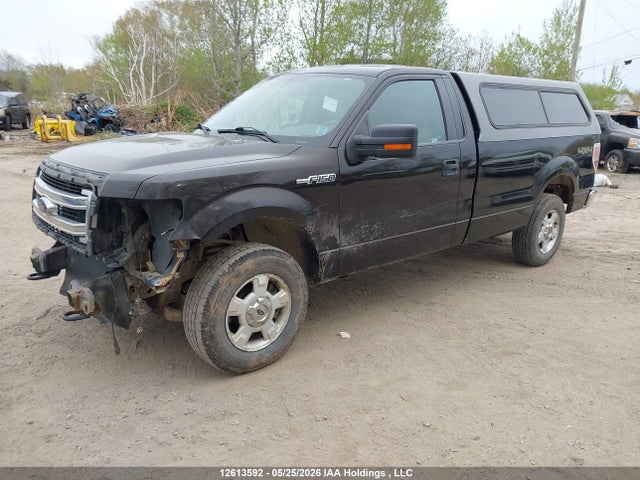 Продажа на аукционе авто 2013 Ford F-150 Xlt, vin: 1FTNF1EF3DKF56143, номер лота: 12613592