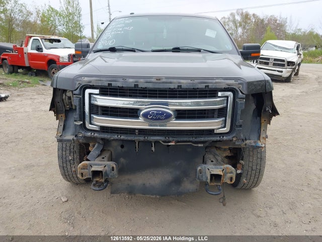 Продажа на аукционе авто 2013 Ford F-150 Xlt, vin: 1FTNF1EF3DKF56143, номер лота: 12613592