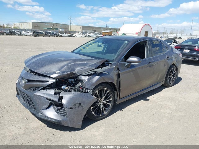 12613608 :رقم المزاد ، 4T1J11BK7LU004349 vin ، 2020 Toyota Camry Se مزاد بيع