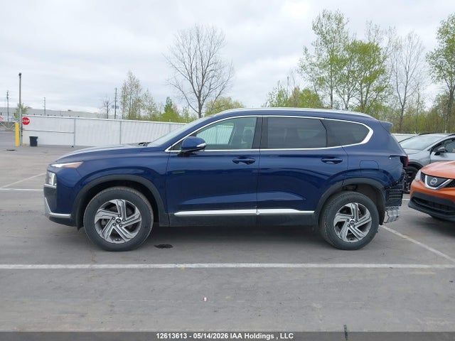 Aukcja sprzedaży 2023 Hyundai Santa Fe, vin: 5NMS3DAJ4PH567594, numer aukcji: 12613613