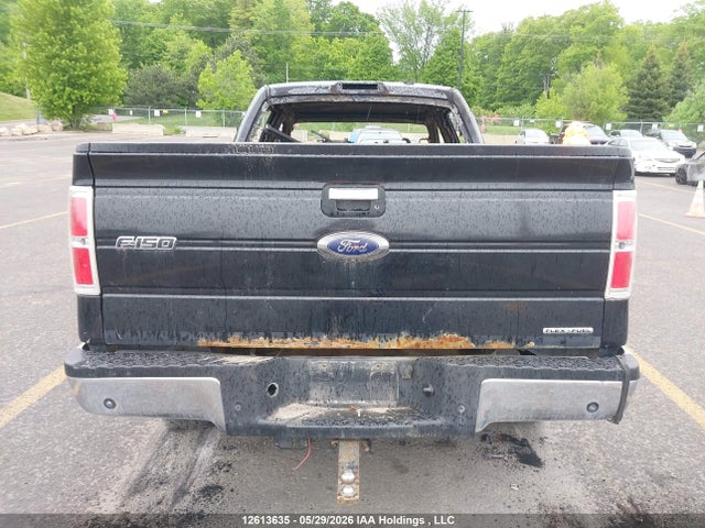 Ford F-150 2014 1FTFW1EF8EFC99172 Image 15