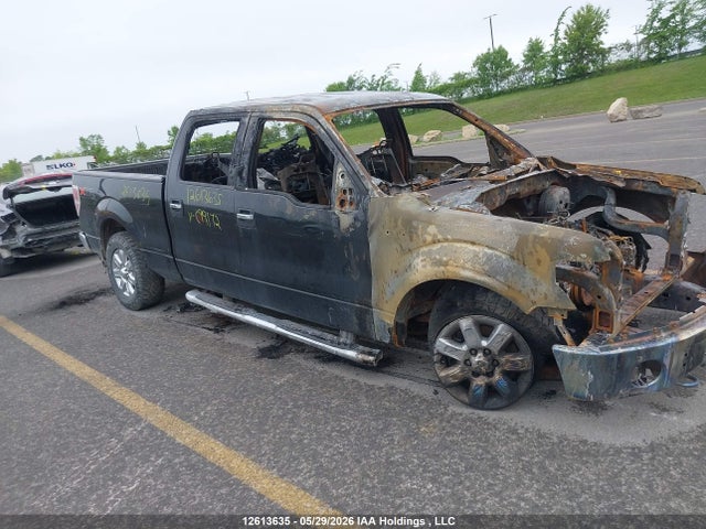 Ford F-150 2014 1FTFW1EF8EFC99172 Image 19