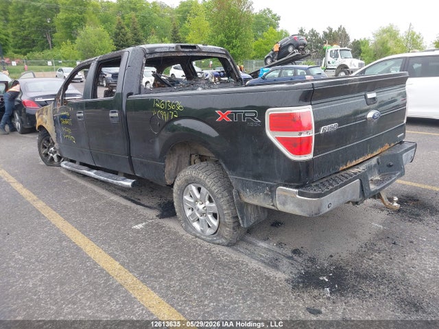 1FTFW1EF8EFC99172 Ford F-150