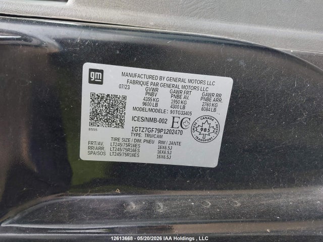 Продаж на аукціоні авто 2023 Gmc Savana G3500, vin: 1GTZ7GF79P1202470, номер лоту: 12613668
