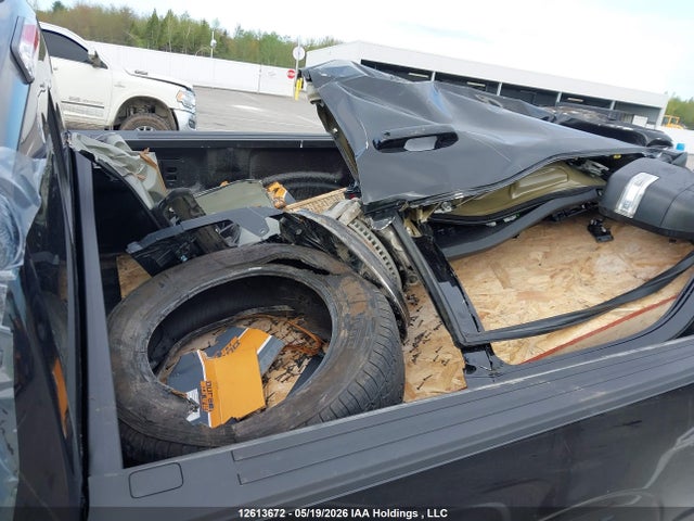 Продаж на аукціоні авто 2025 Ford F-150, vin: 1FTFW3L86SKD91237, номер лоту: 12613672