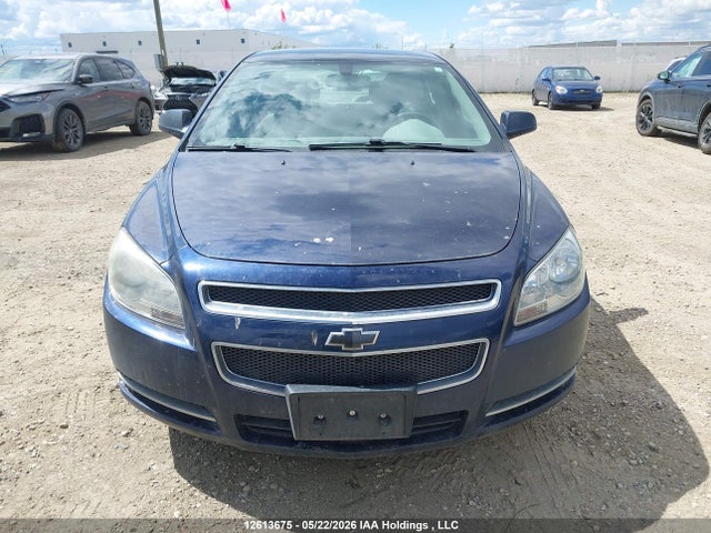 12613675 :رقم المزاد ، 1G1ZD5E00AF225060 vin ، 2010 Chevrolet Malibu Lt Platinum Edition مزاد بيع