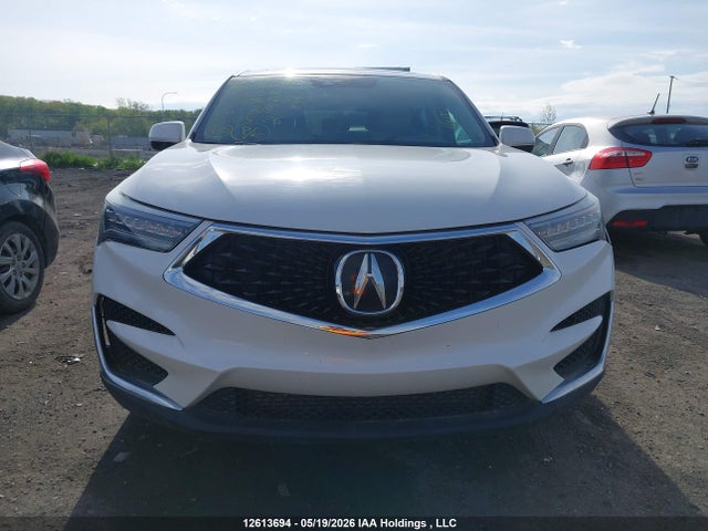 2019 Acura Rdx Tech მანქანა იყიდება აუქციონზე, vin: 5J8TC2H34KL808563, აუქციონის ნომერი: 12613694