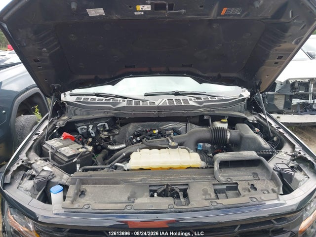 Ford F150 Xlt 2024 1FTEW3LP1RFC16402 Image 10