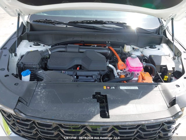 Aukcja sprzedaży 2026 Kia Sorento Hybrid, vin: KNDRHDJG3T5469741, numer aukcji: 12613708