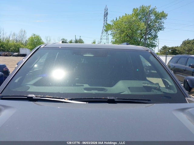 Auction sale of the 2025 Toyota 4runner Hybrid, vin: JTEVB5BR7S5024029, lot number: 12613776