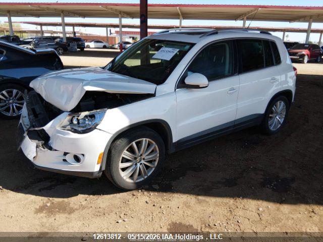 Продаж на аукціоні авто 2009 Volkswagen Tiguan Se/sel, vin: WVGBV95NX9W540612, номер лоту: 12613812