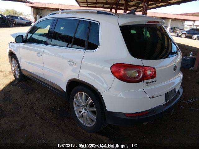 Продаж на аукціоні авто 2009 Volkswagen Tiguan Se/sel, vin: WVGBV95NX9W540612, номер лоту: 12613812