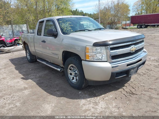 Продаж на аукціоні авто 2009 Chevrolet Silverado C1500, vin: 1GCEC19C49Z250284, номер лоту: 12613816