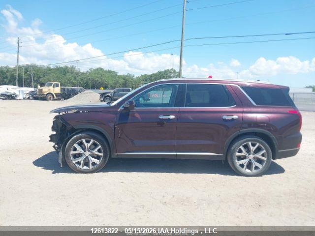 2020 Hyundai Palisade Luxury 7-passenger Seating მანქანა იყიდება აუქციონზე, vin: KM8R3DHE0LU164265, აუქციონის ნომერი: 12613822
