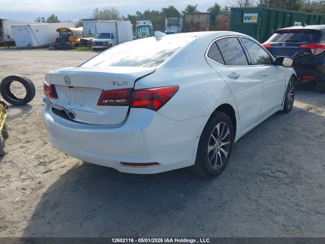12602116 :رقم المزاد ، 19UUB1F53HA800495 vin ، 2017 Acura Tlx Tech مزاد بيع